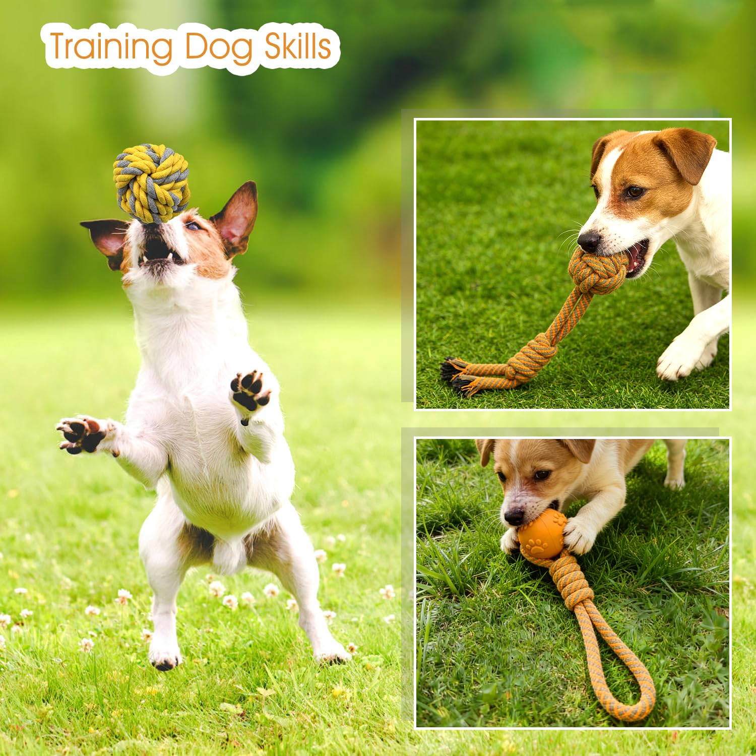 Waldseemüller Hundespielzeug – 9er-Pack Hundespielzeug für kleine und mittlere Hunde, Seil-Kauspielzeug-Set gegen Langeweile, interaktiver Ball für Welpen mit Aufbewahrungstasche