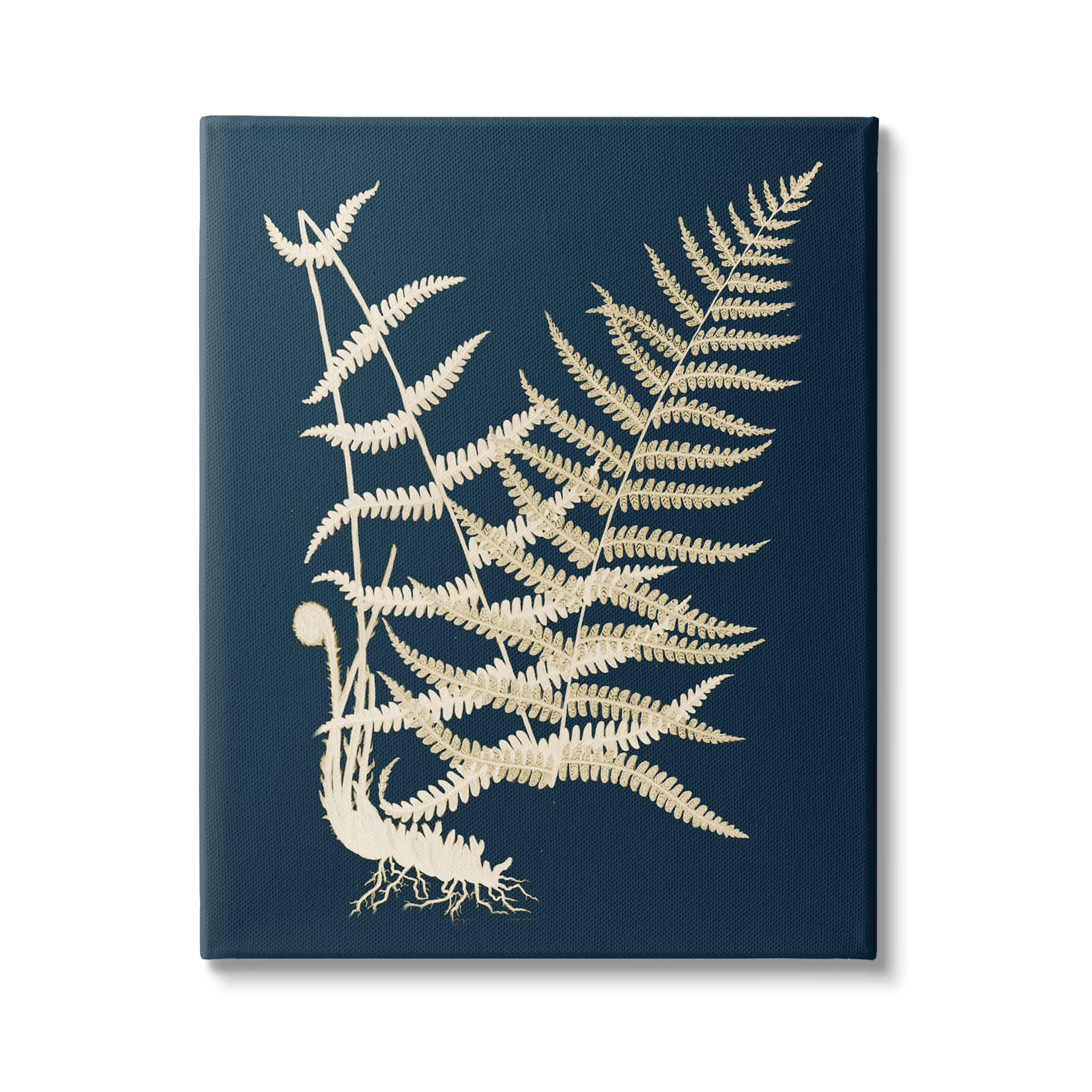 Stupell IndustriesLayered Fern Leaves Abstract Botanical Roots Shapes Canvas Wall Art, Design By Piddix