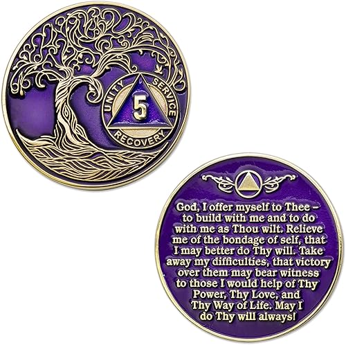 Miniatura 3 de Medallón AA de 5 años  Árbol de la Vida trenzado chapado en oro AA Chip de recuperación  morado