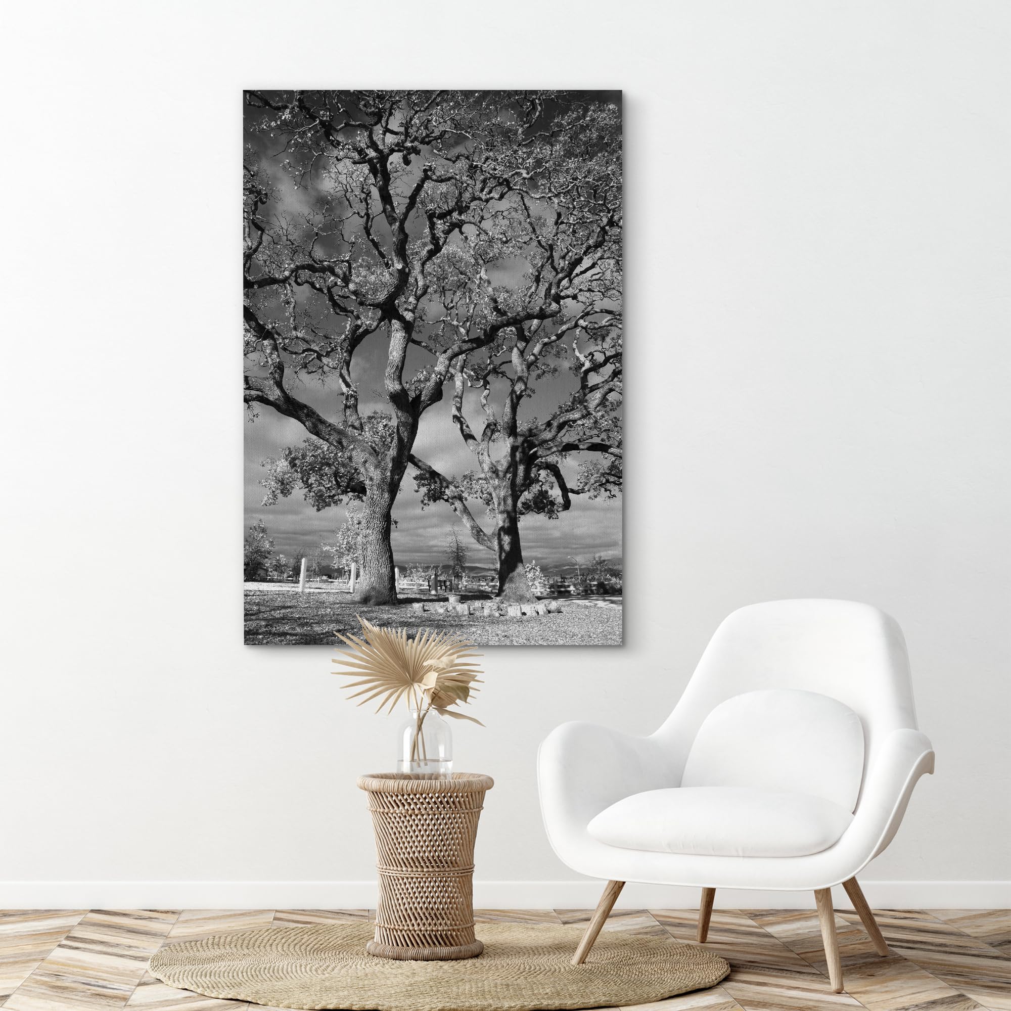 Amazon.com: SIGNFORD Canvas Print Wall Art Film Grain Oak Trees