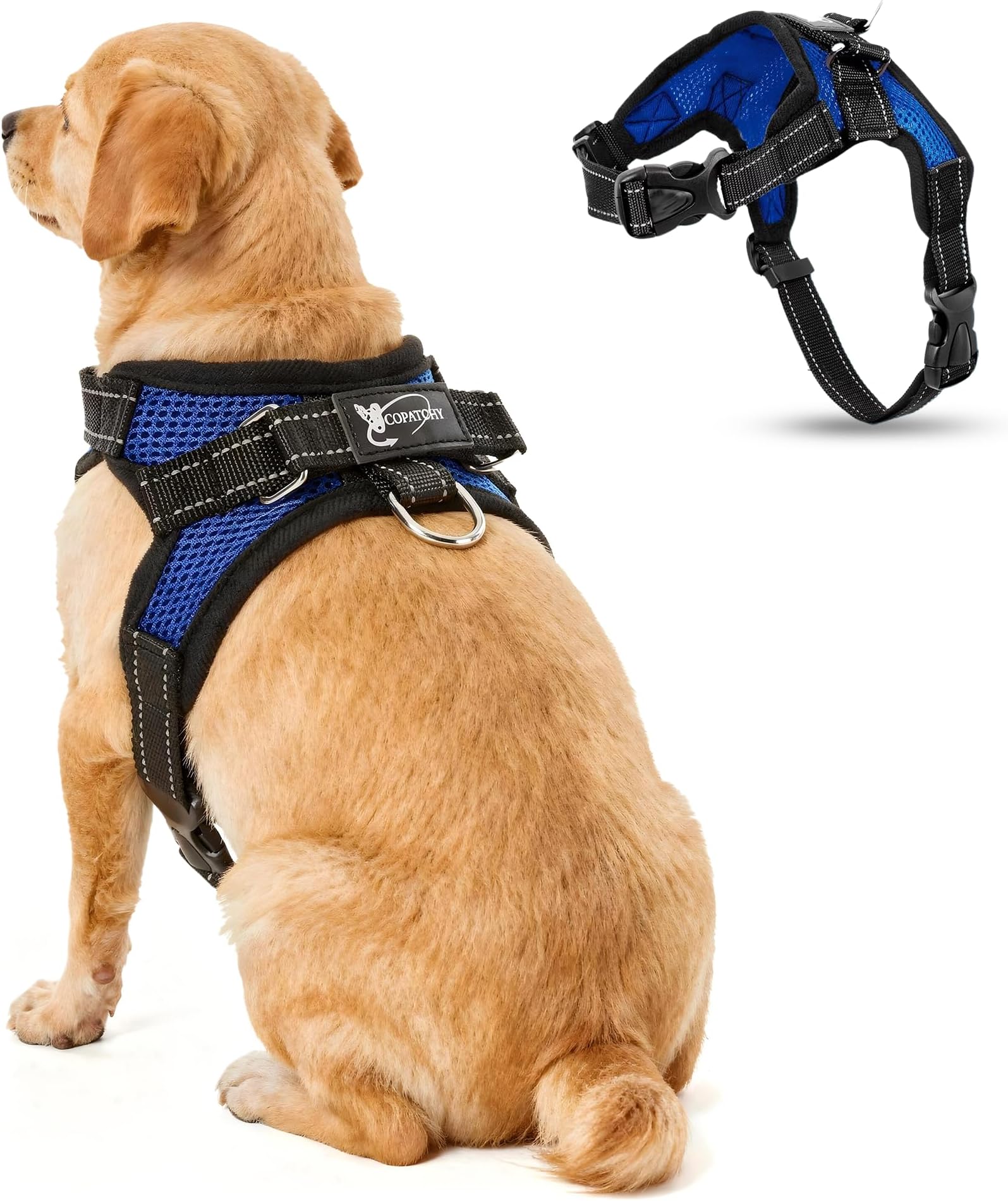 No Pull Reflective Adjustable Dog Harness With Handle- Comfortable Soft All Weather Mesh, Easy On Puppy Harness For Small Medium and Large Dogs (Blue) Small