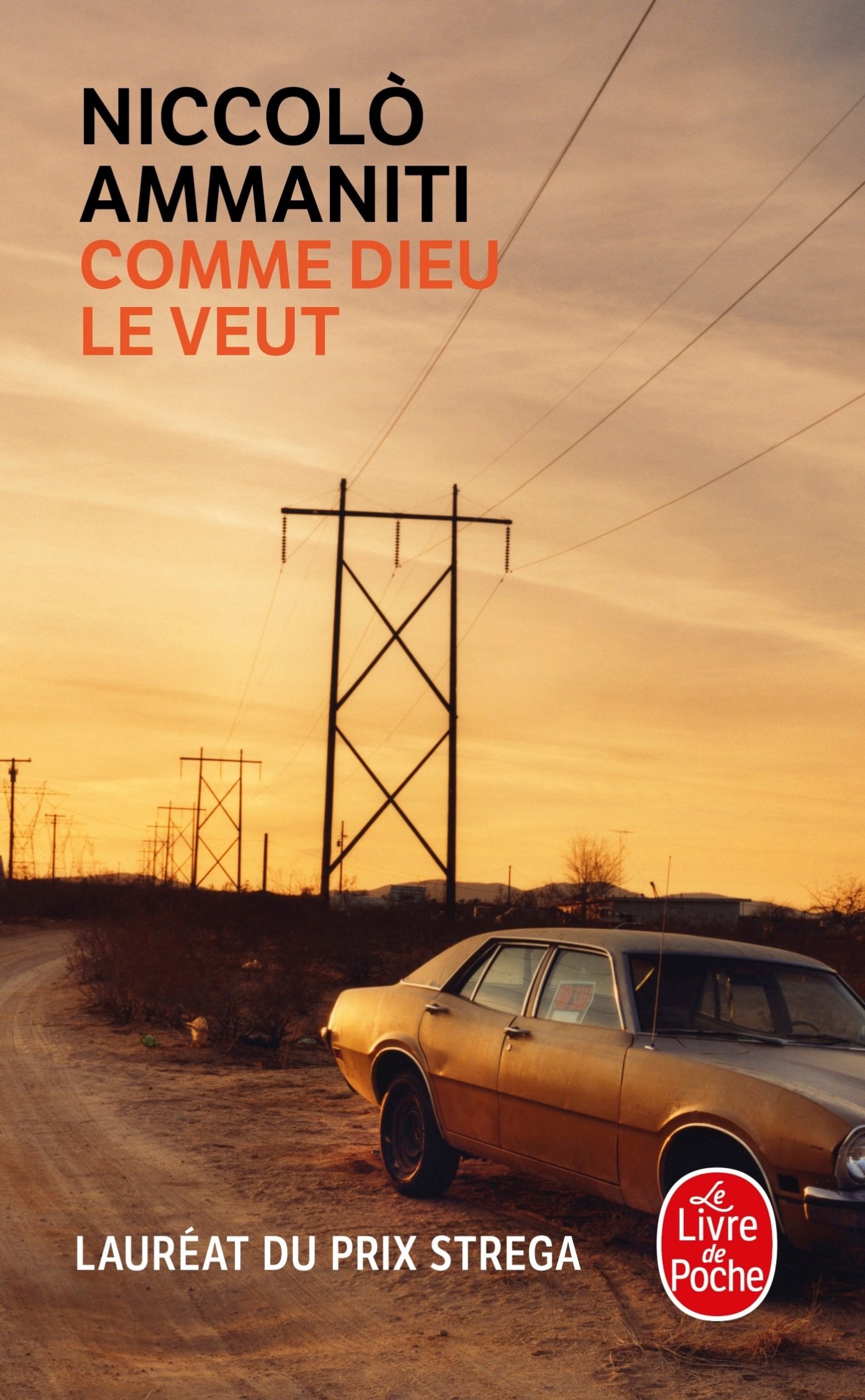 Comme Dieu le Veut (Littérature)