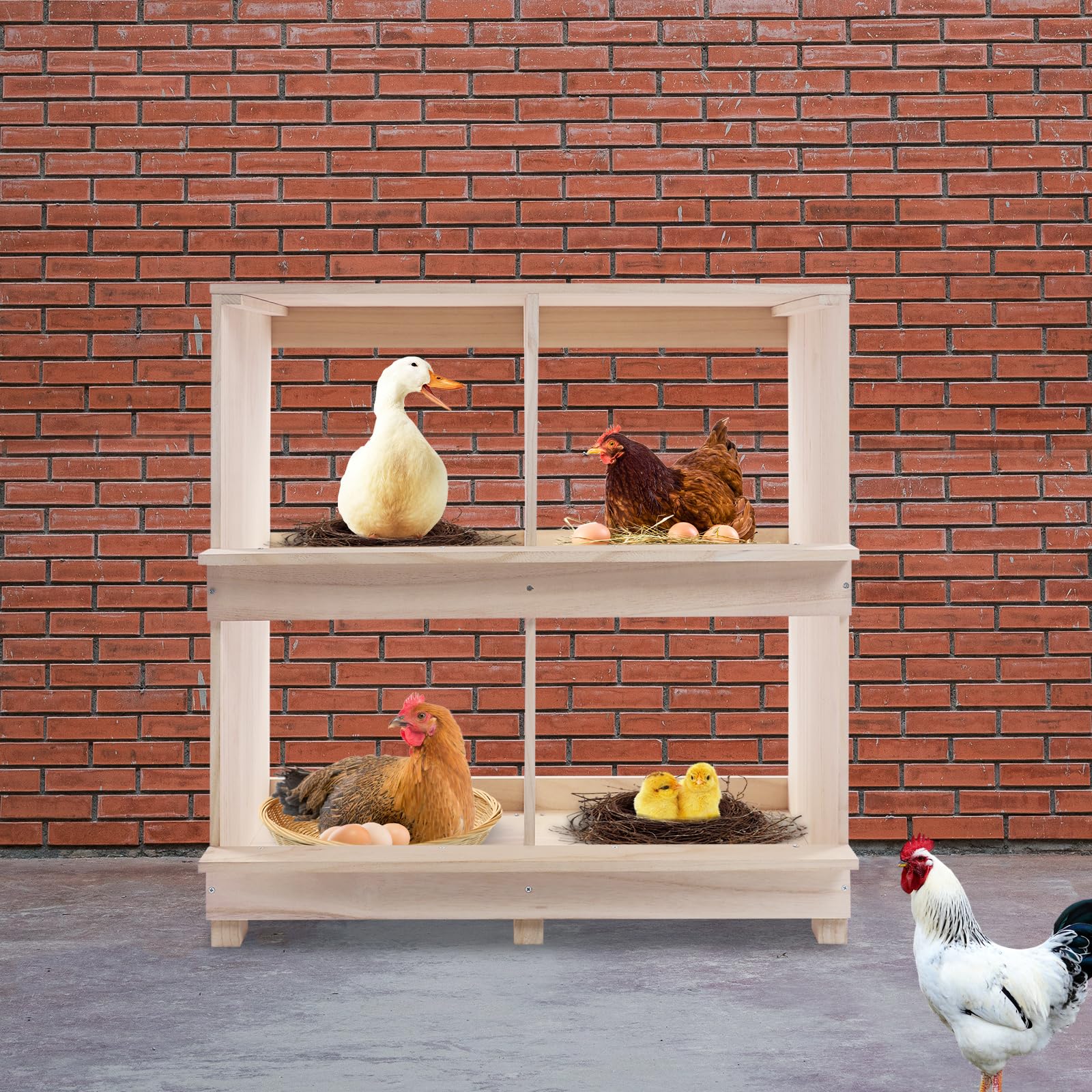 Pollaio 4 galline legno 4 nicchie 64x36x66cm ovaiola interna naturale
