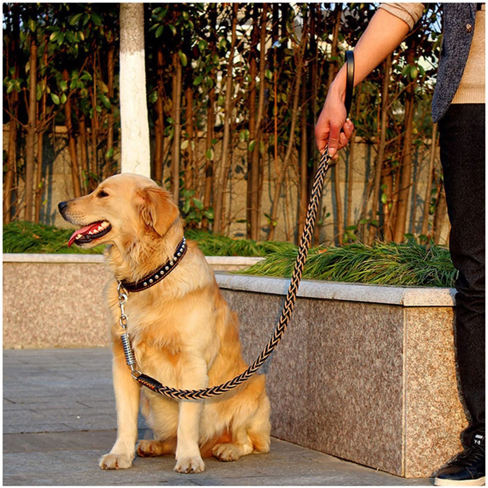 BATLAM Correa de Perro retráctil Correa de Cuero para Perros Grandes Correa de Perro Trenzada de Cuero Fuerte con Cuerda de tracción para Mascotas de Primavera amortiguadora para Perro Pastor alemán