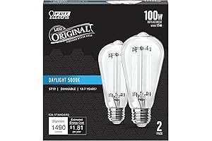 Feit Electric ST19 Vintage Edison LED Light Bulb: Illuminate Your Space with 100W Equivalence