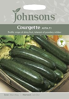 Johnsons 20411 Vegetable Seeds, COURGETTE Astia F1