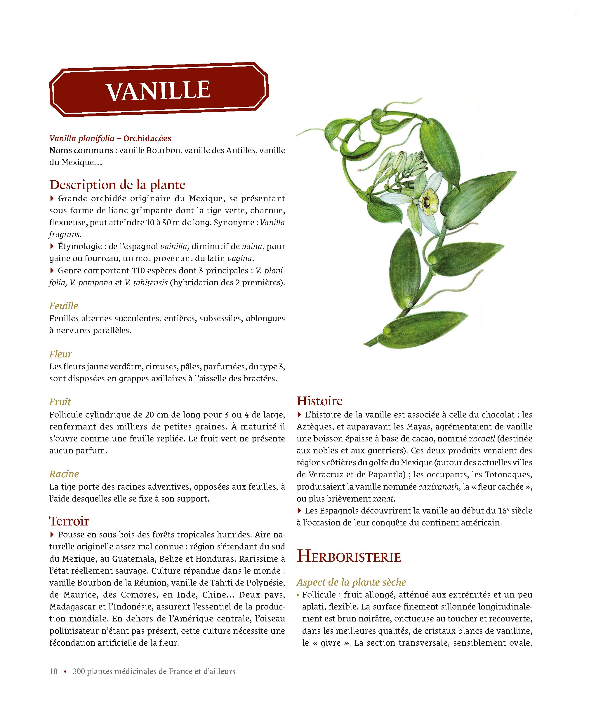 300 plantes médicinales de France et d'ailleurs: Identification, principes actifs, modes d'utilisation...