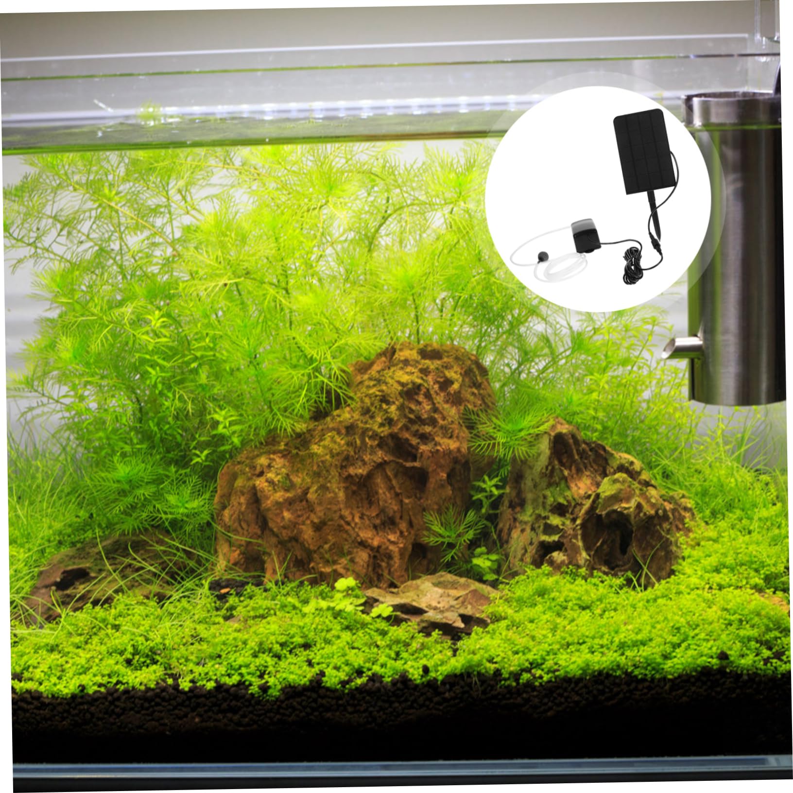 Toyvian Pompe à Solaire Pompe à air Solaire pour Aquarium aérateurs de Bassin pour bassins extérieurs Pompe Solaire Solar Panel air Pump Pompe aerateur Solaire Pompe d'aquarium