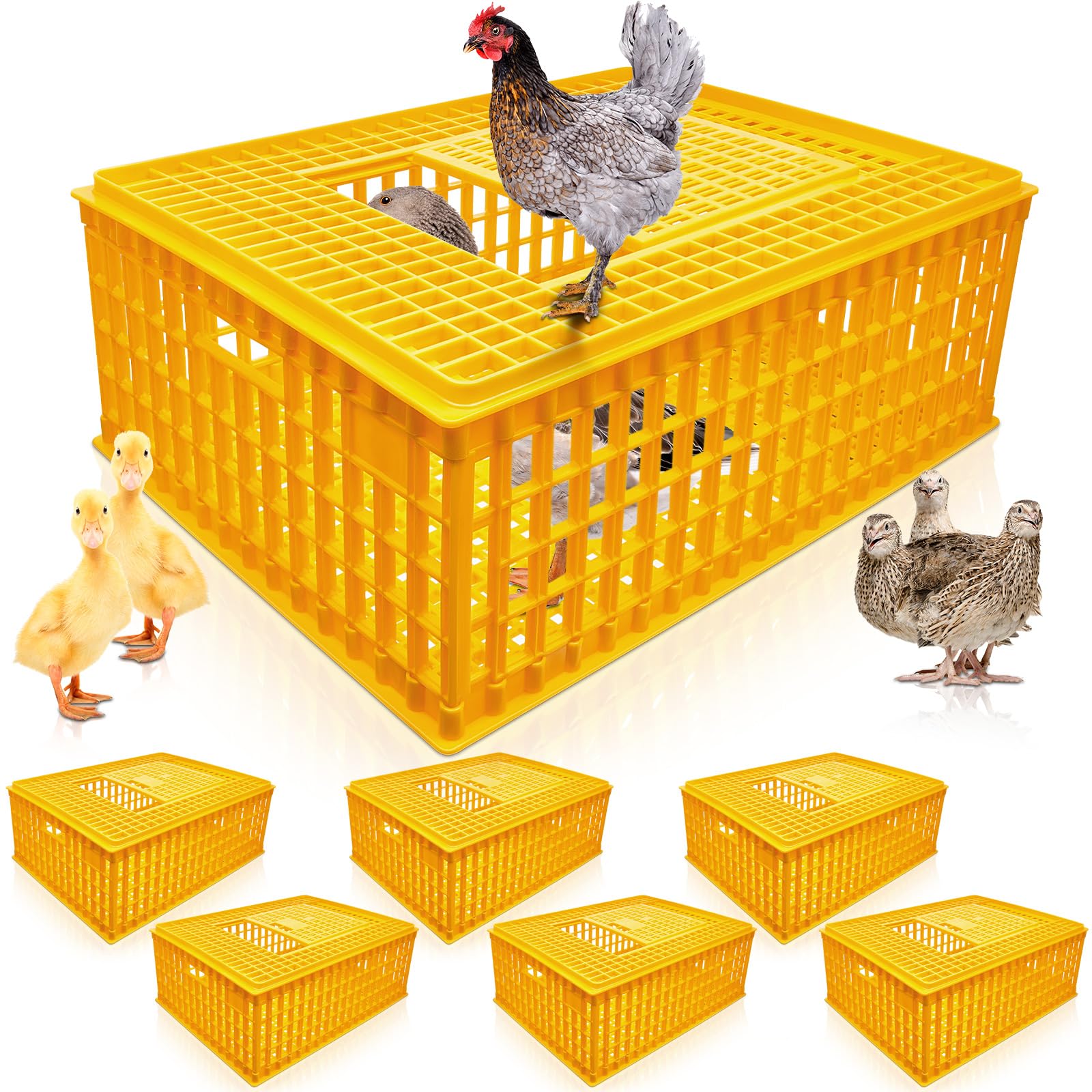 Sintuff 2-Piece Poultry Carrier - Plastic Chicken Transport Cage, 29.5 x 21.7 x 11.6 Inch