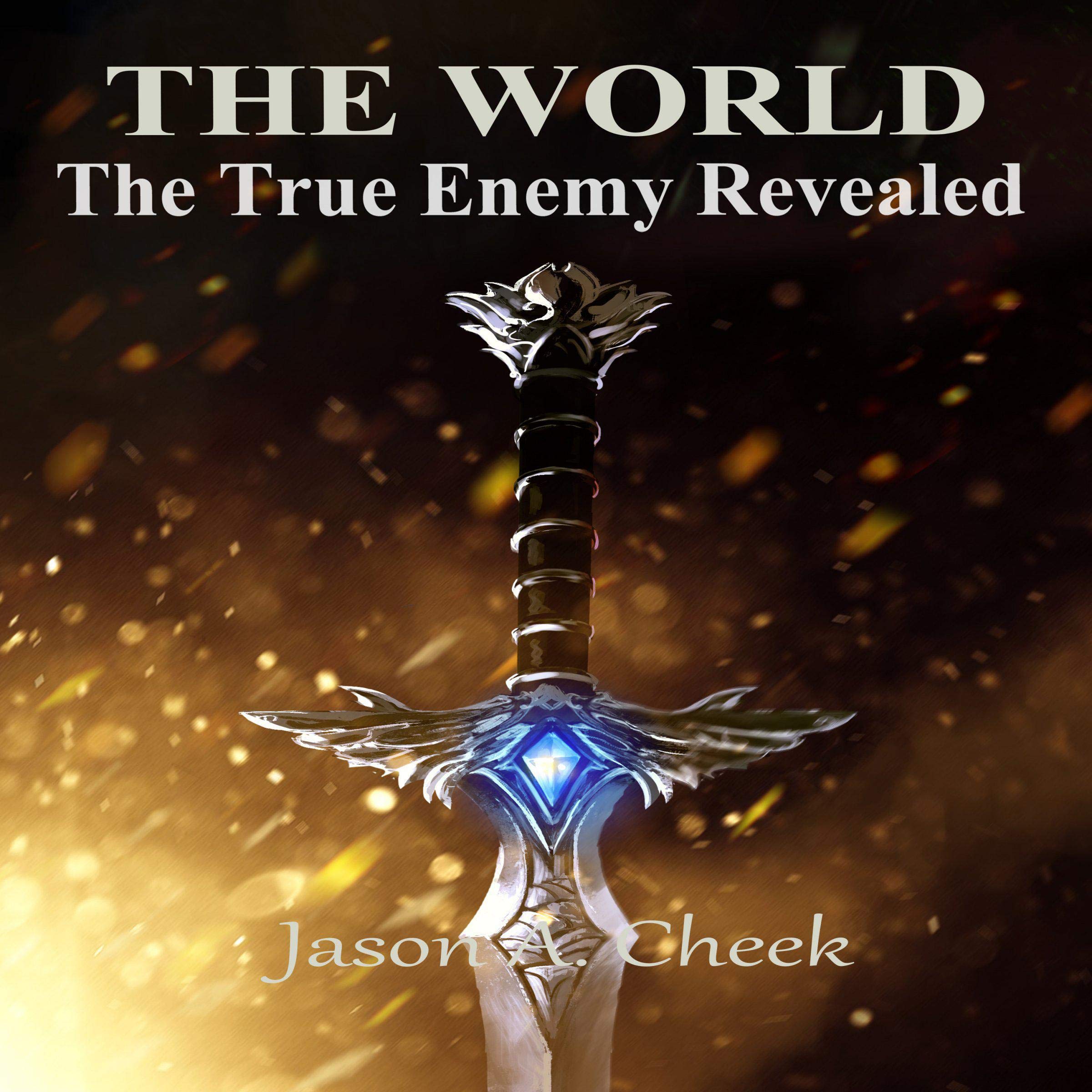 The True Enemy Revealed: A LitRPG and GameLit Series