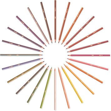 BIC Kids Evolution Stripes Kuru Boya Kalemi, 12'li Kutu