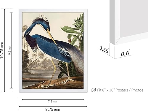 Miniatura 305 de Poster Master Póster vintage de flamenco americano, estampado retro de flamenco rosa, arte de pájaro, regalo para él, ella, amante de los animales,