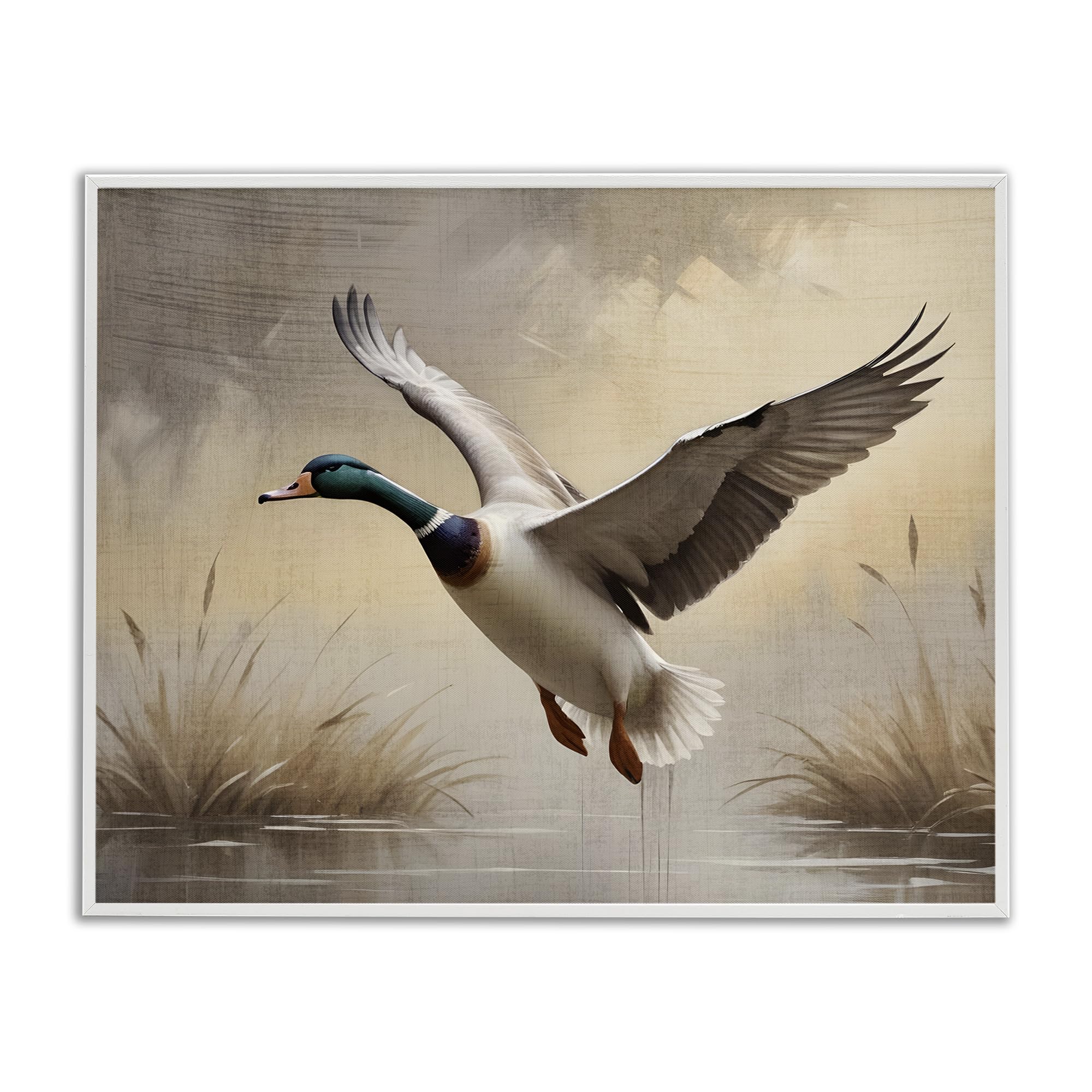 Stupell Industries 'Gliding Mallard over Wetlands', Framed Giclee Art, White, 30 x 24 Inches, Easy to Hang and Sturdy, Made in USA, by Susan Arnot