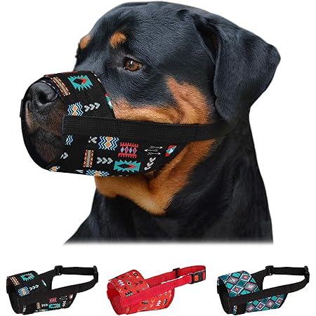 large breed dog muzzle