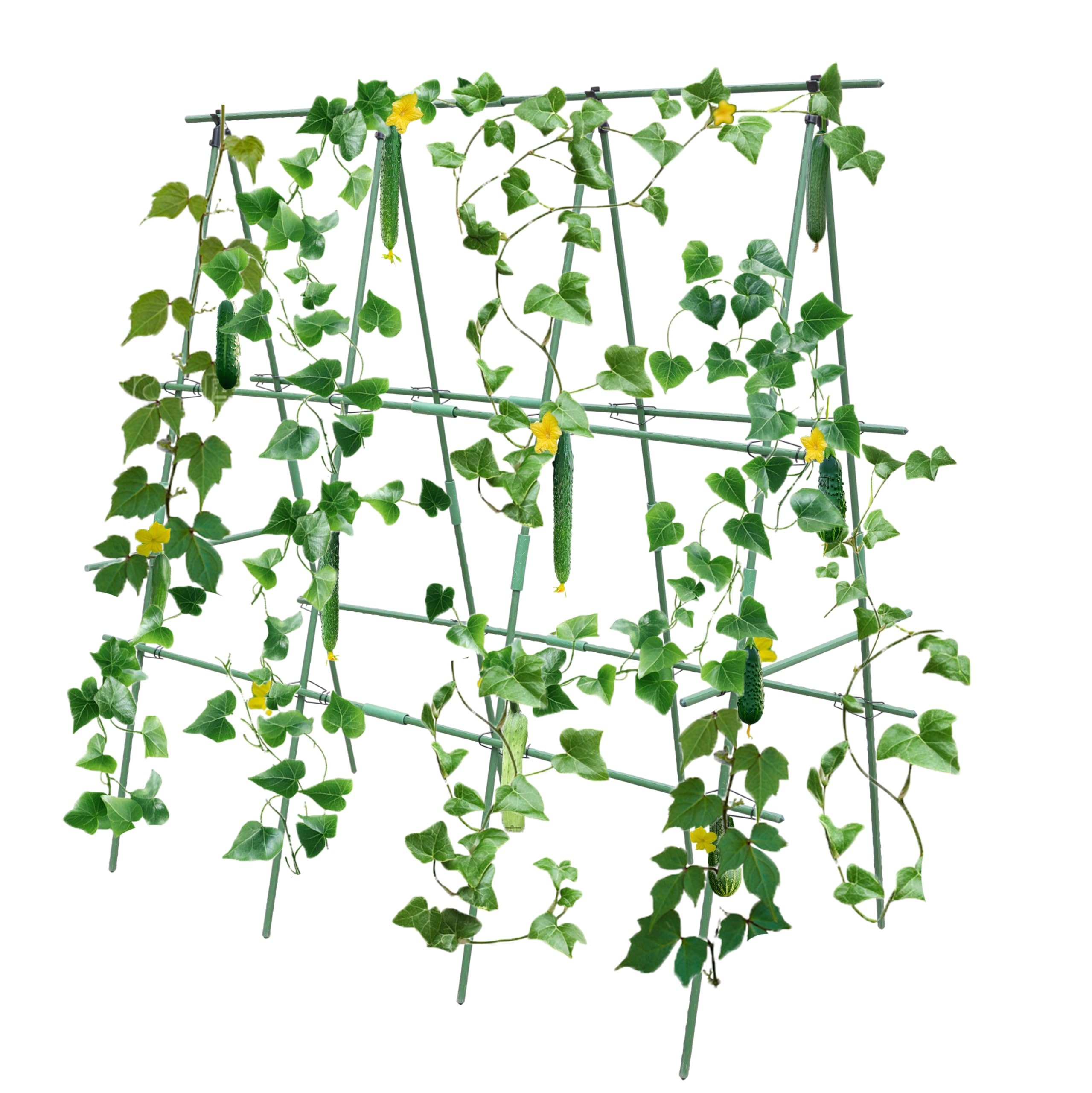 Tuteur de concombre 120 x 120 cm, support pour plantes grimpantes, pour légumes, fruits, fleurs et plantes grimpantes