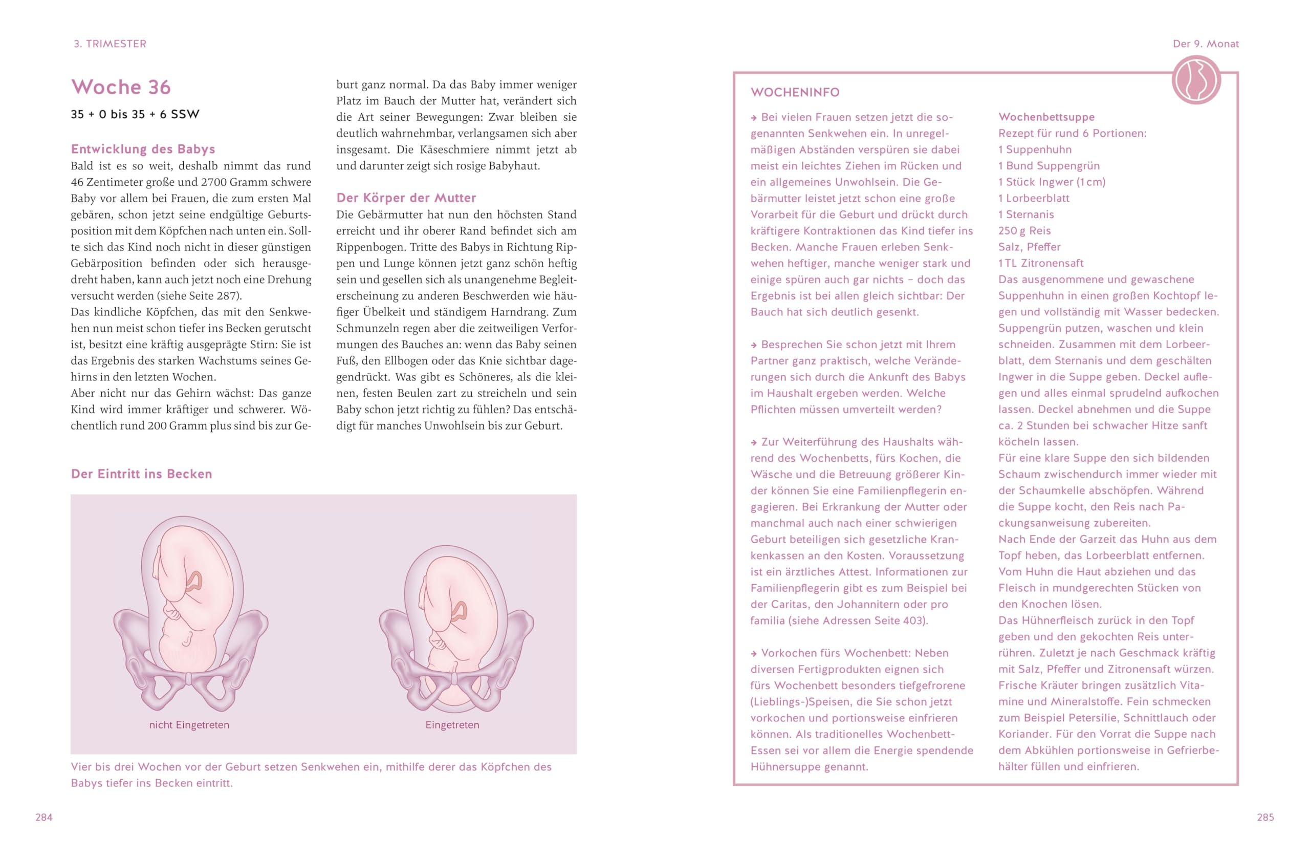 Das große Buch zur Schwangerschaft: Das Standardwerk zu Schwangerschaft, Geburt und die erste Zeit mit Baby