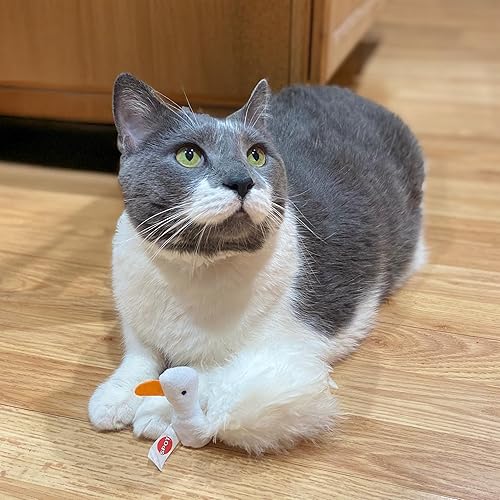 Miniatura 10 de Ethical Pet Products (Spot) SPOT CSO2829 - Juguete de plumas para gatos, surtido (773402)