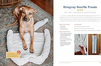 The Happiest Dog on the Block: Canine Enrichment Activities to