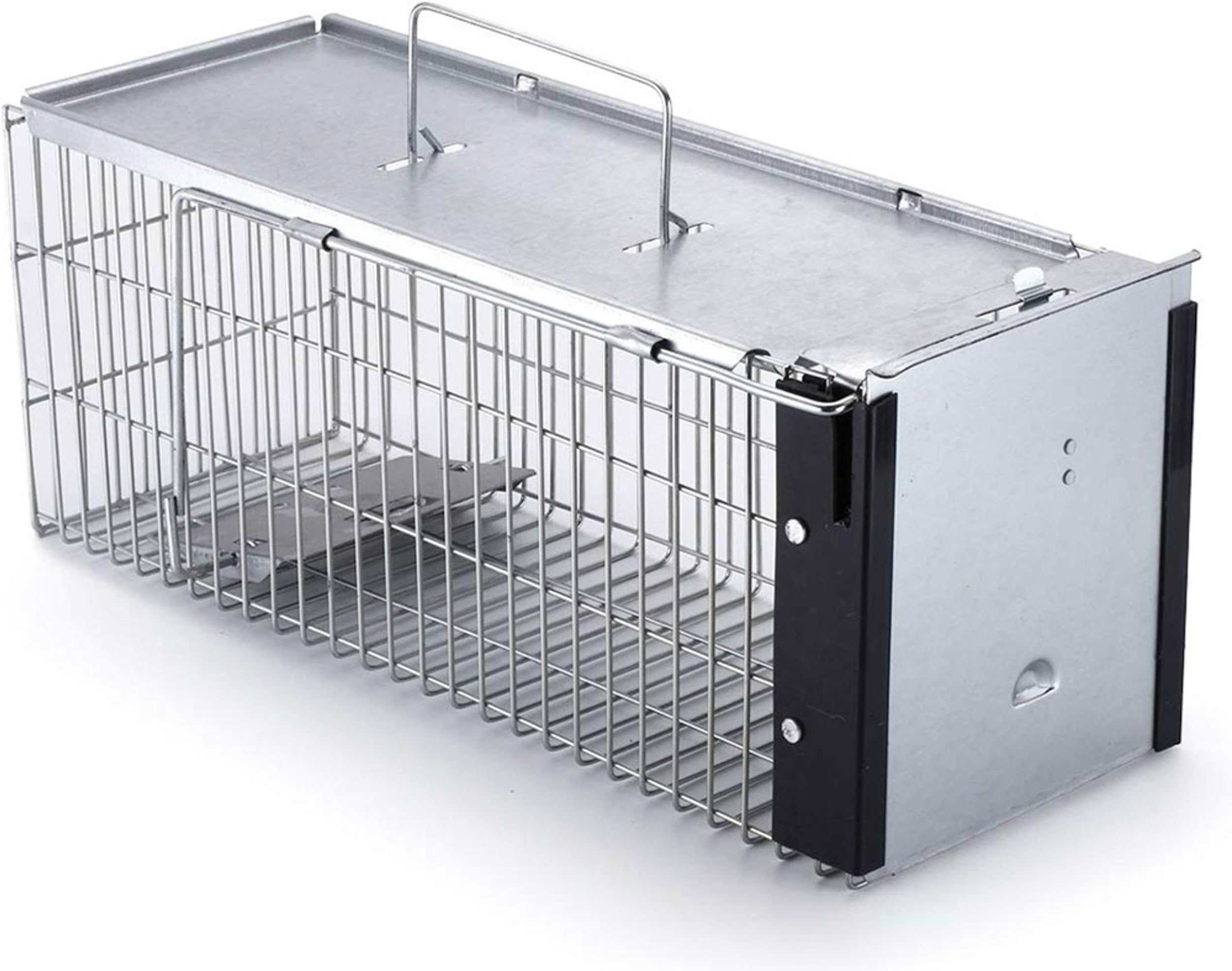 Trap Top - Quality Squirrels Live Humane Cage Trap, Large One-Door Squirrels Chipmunks Weasels & Rats Trap