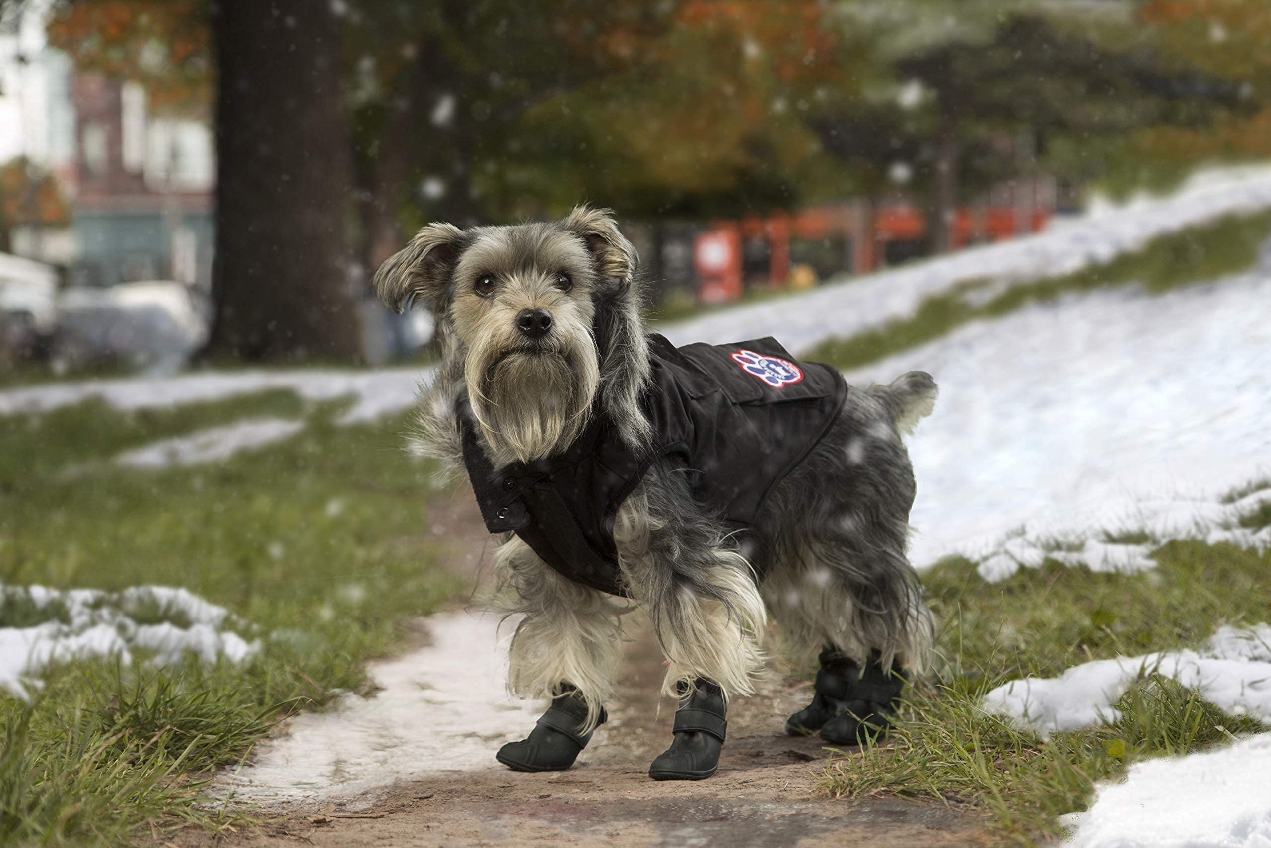 Amazon | (カナダプーチ) Canada Pooch ワンちゃん用 Everest Explorer
