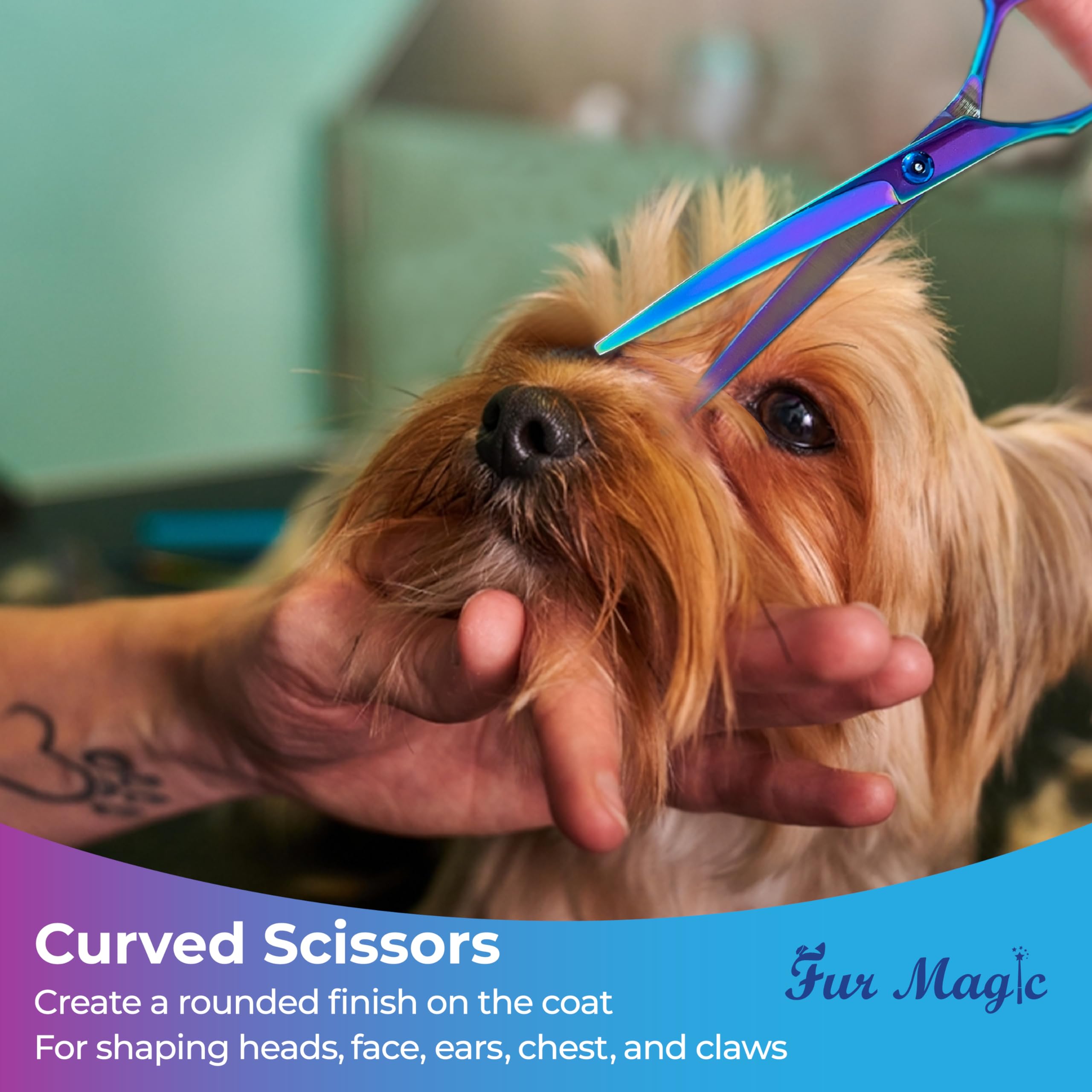 Fur Magic Dog Grooming Scissors Set - Image 2