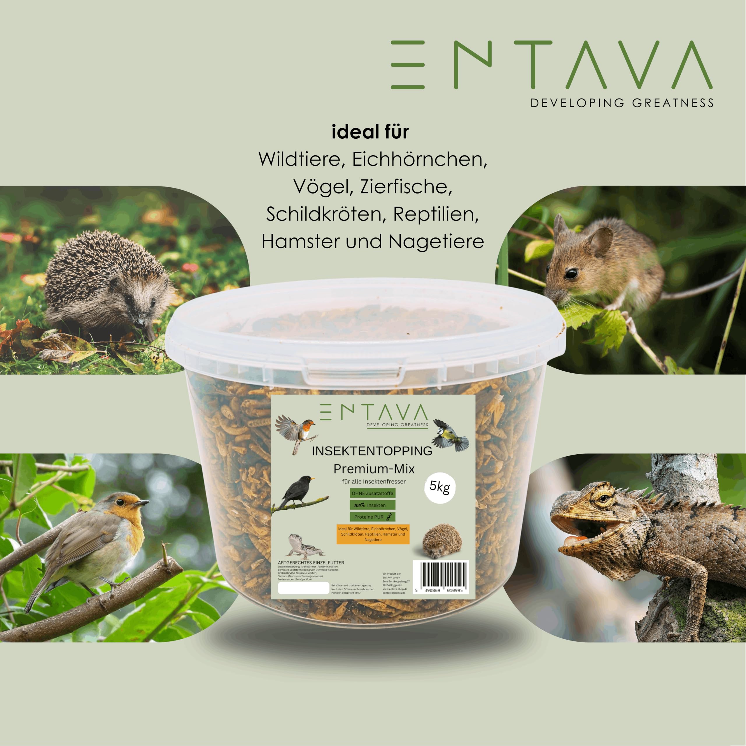 Insektentopping Premiummix (5kg) Natürliches Proteinfutter für Reptilien, Vögel, Zierfische, Schildkröten & Nagetiere