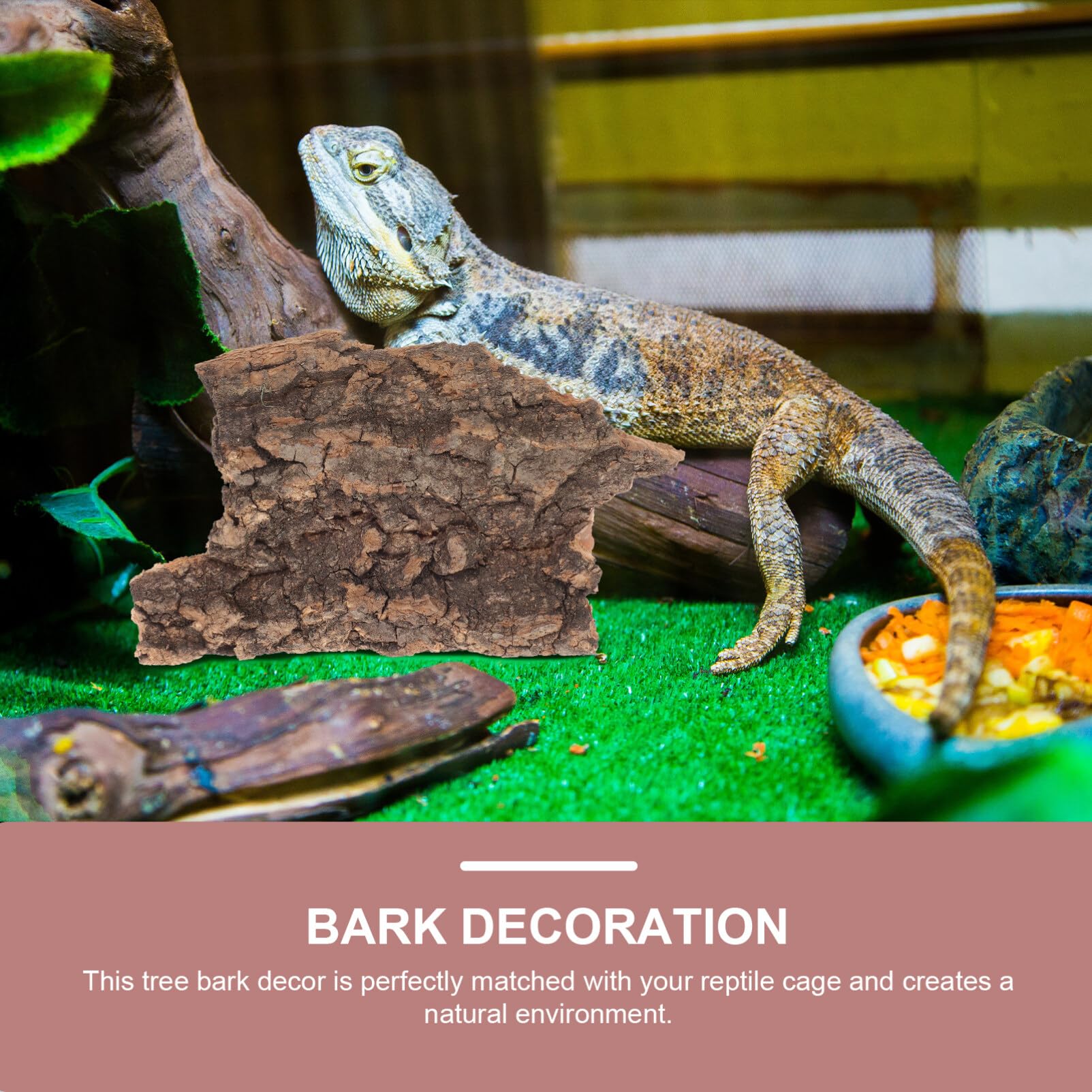 Zerodeko Lot de 10 Plateformes en Écorce De Bois pour Reptiles Lézards Et Tortues Décor Naturel De Terrarium pour Grimpe Et Repos
