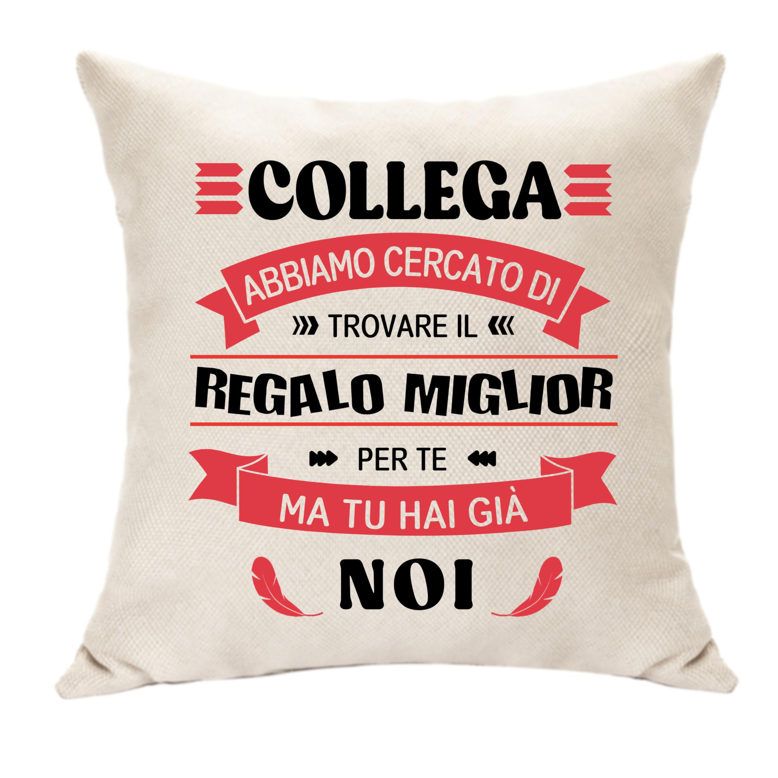 Collega Regali di Addio per le Donne Collega Copricuscino Decorazione Ricordo Idee Regali di Compleanno per Collega Bestie del Lavoro Amiche Regali Pensione Promozionali per Colleghi (Collega-Noi)