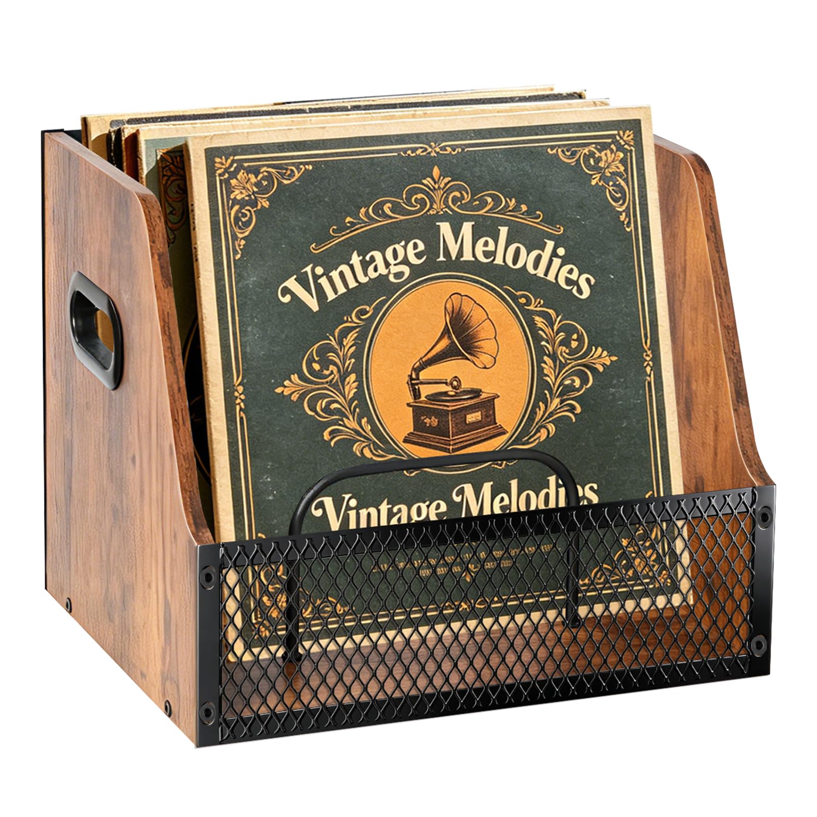 BILIONE Contenitore per dischi in metallo e legno con divisorio | Supporto per dischi in vinile da 7/10/12 pollici, 60 LPs, organizer per CD, album, riviste, libro