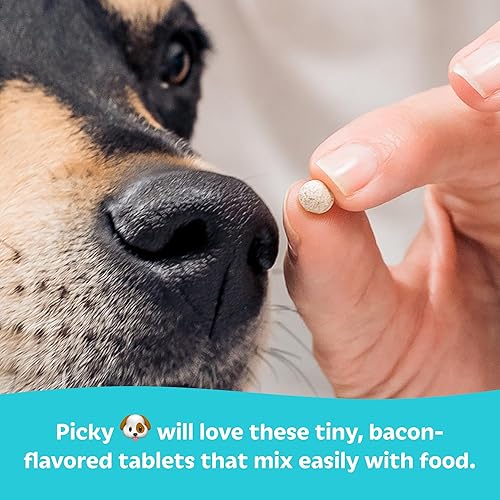 Miniatura 5 de Probióticos para perros por Tails 'N' Tummies