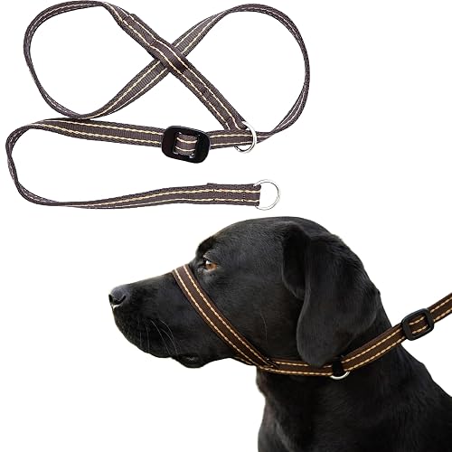 Gencon - Collar antitirones para perro de tamaño mediano - Aprobado por entrenadores - Control suave y suave