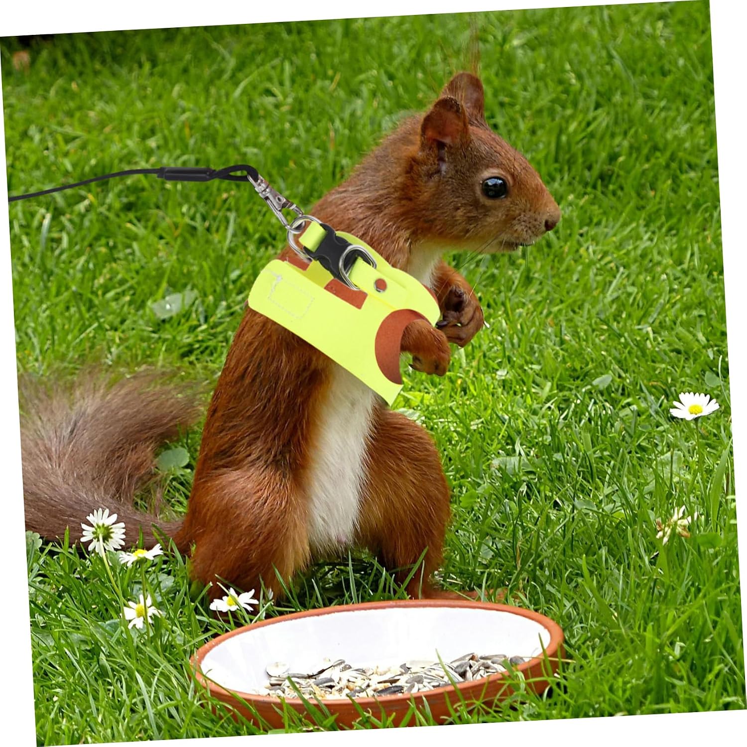 1Set Small Pet Harness Leash Set Traction Rope for Squirrels Rabbits More Wear Walking Rope Comfortable Fit for Small Animals