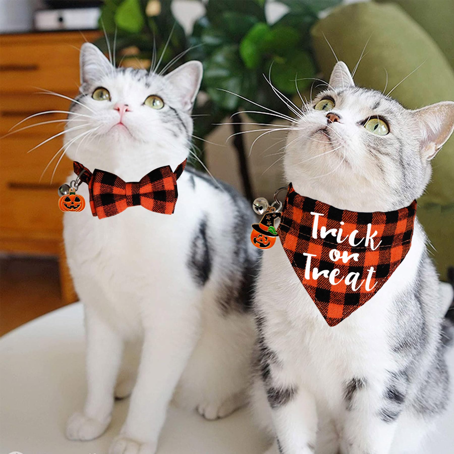 breakaway cat collar bow tie