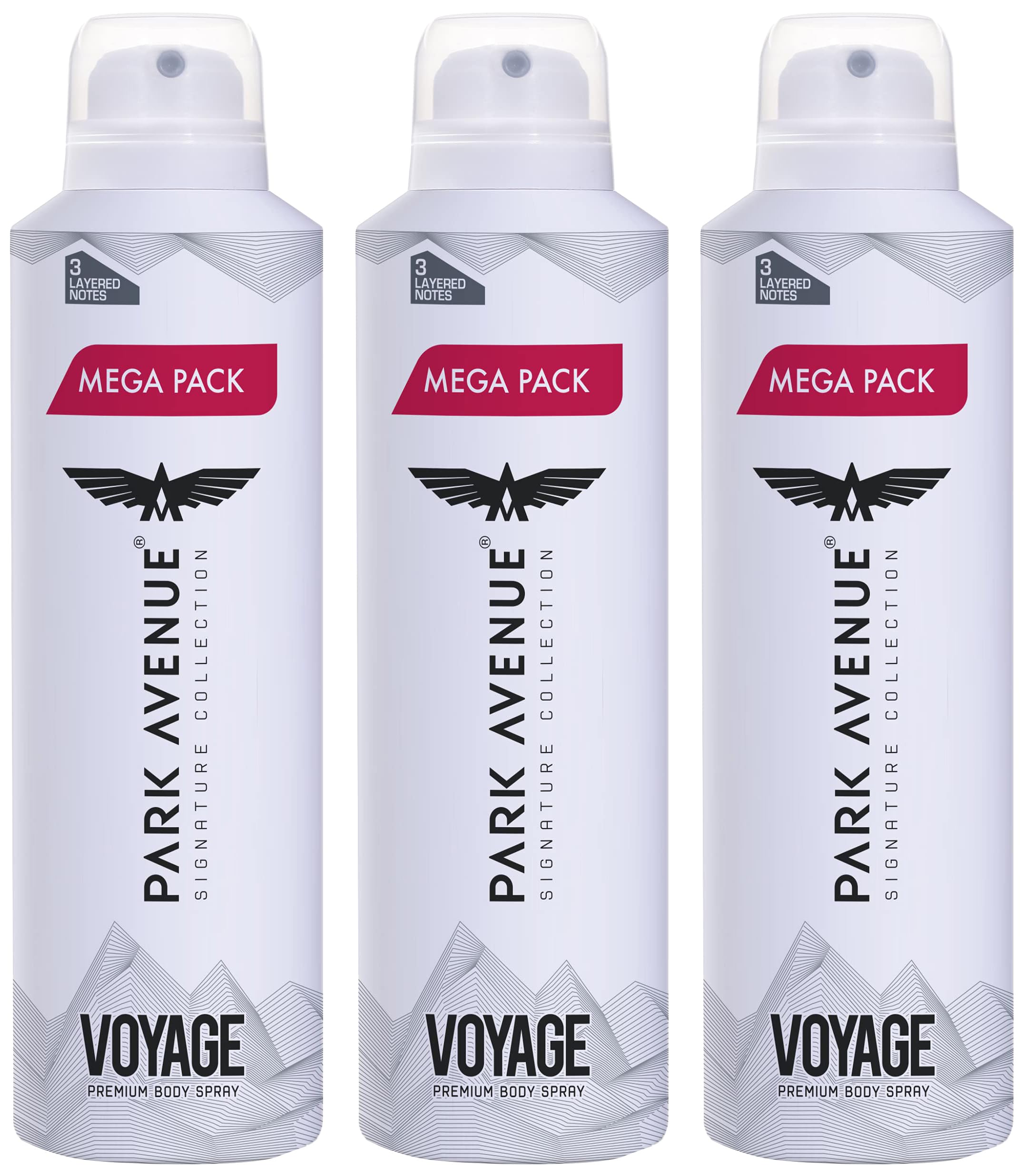 Park Avenue Men Voyage Signature Amber Deodorant Spray, 220Ml (Pack Of 3)-picture-46