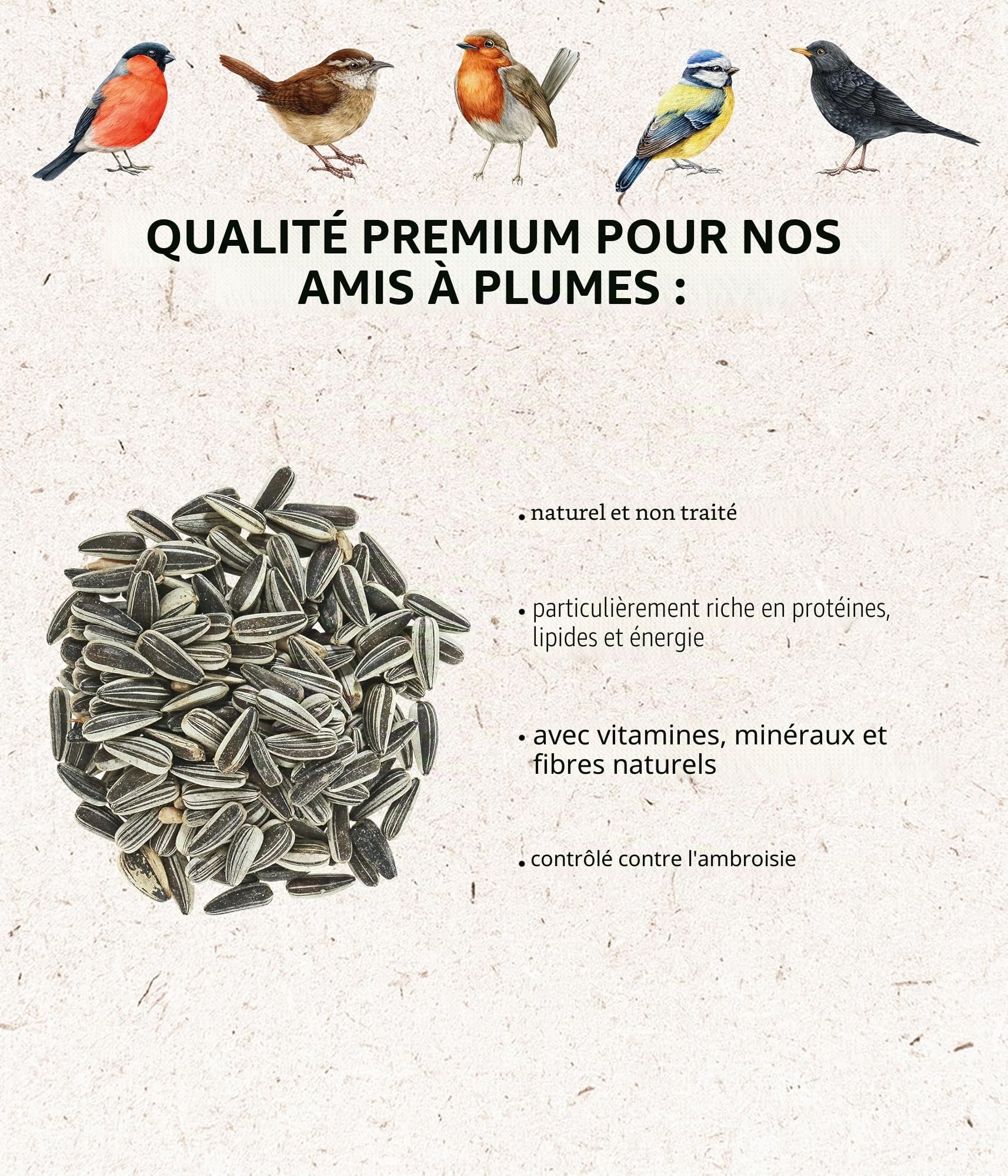 Dehner Natura Premium Nourriture pour Oiseaux Sauvages, graines de Tournesol, 5 kg (Lot de 2)