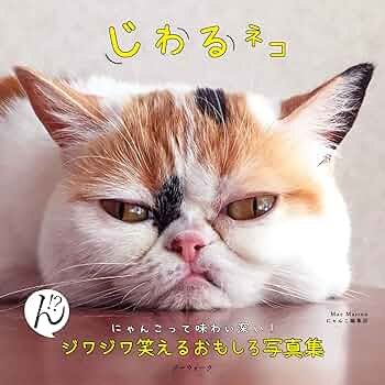【中古】 ほんとにあった笑っちゃう話 ねこねこ日和・まぐろ缶号/朝日ソノラマ 中古】 ほんとにあった笑っちゃう話 ねこねこ日和・まぐろ缶号