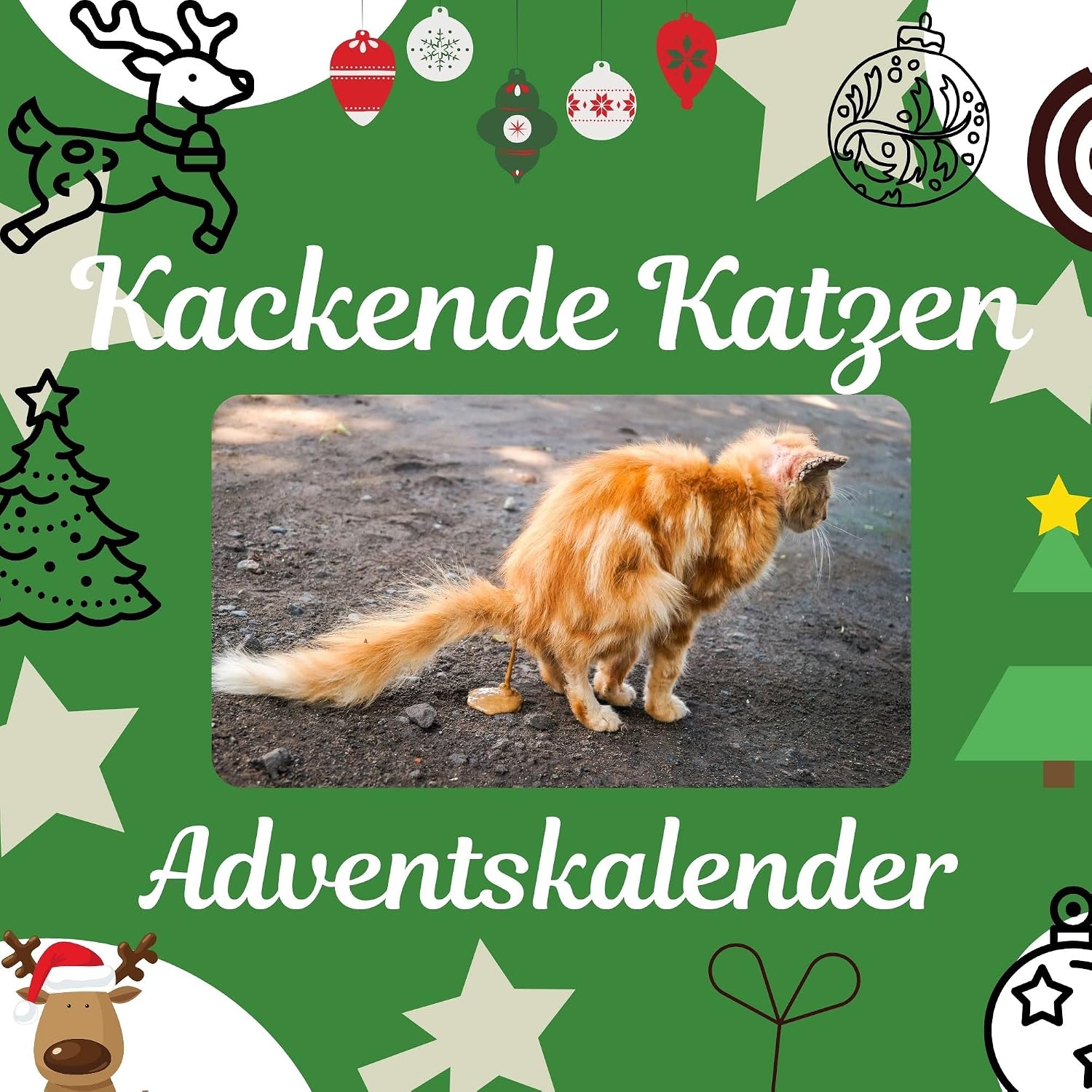 Kackende Katzen: Adventskalender