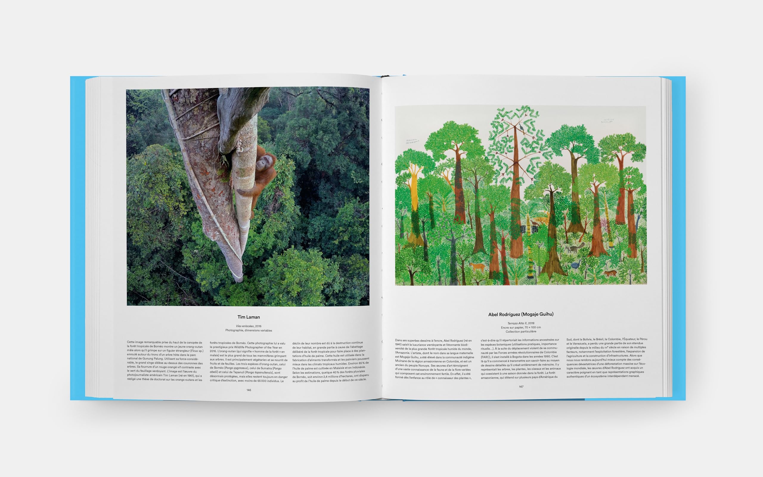 Arbres: Explorer le monde, des racines aux cimes