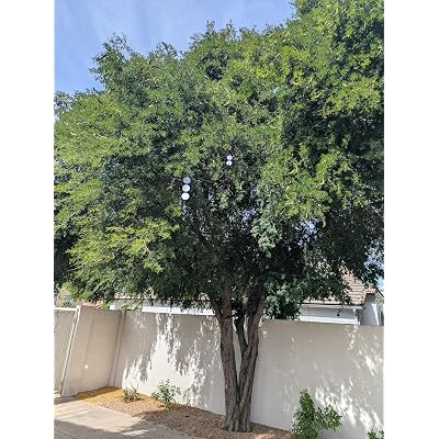 ubuy Bahrain