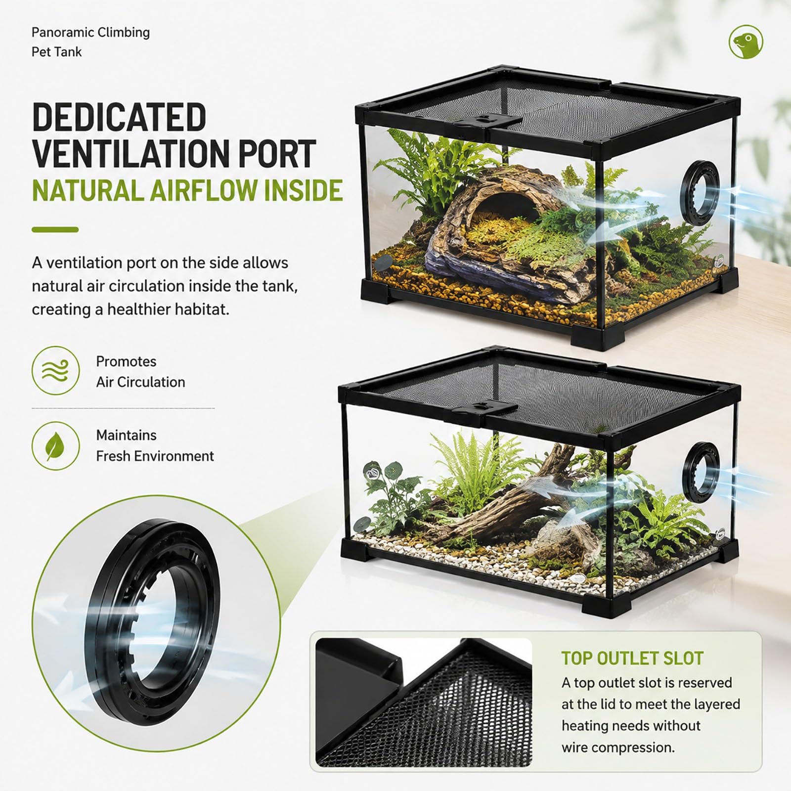 Terrario in Vetro per Rettili, Teca Trasparente con Coperchio Ventilato in Rete, Habitat Sicuro per Gecko, Lucertole, Serpenti, Ragni, Anfibi e Insetti(Small)