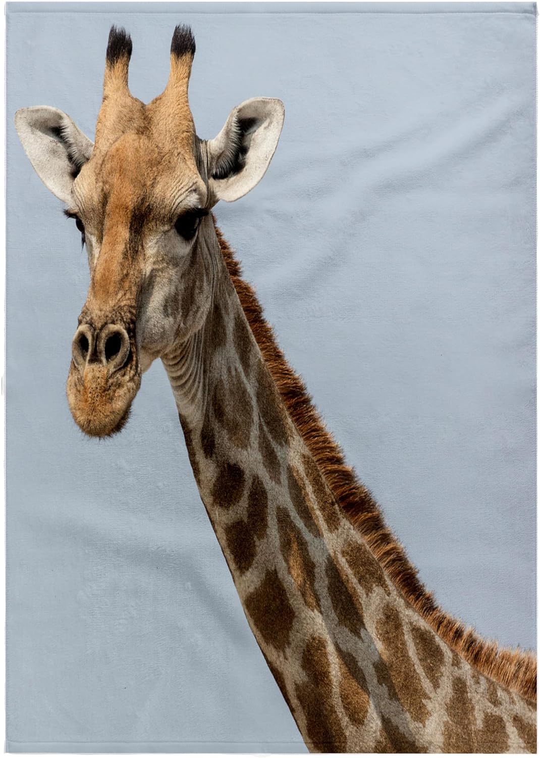 3dRose Namibia, Etosha NP, Klein Namutoni Waterhole. Portrait of a Giraffe. 22x30 Bath Hand Pool Towel