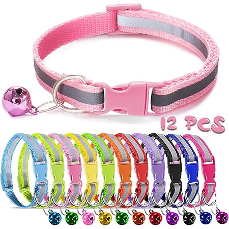 newborn kitten collars