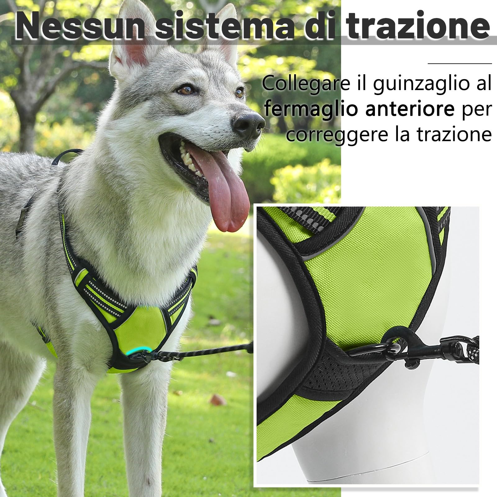 COMSLE Pettorina Cane Taglia Grande Media Piccola, Pettorina per Cani Anti Tiro Riflettente, Imbracatura Regolabile Cani con 2 Ganci in Metallo per Addestramento Corsa (Verde, L)