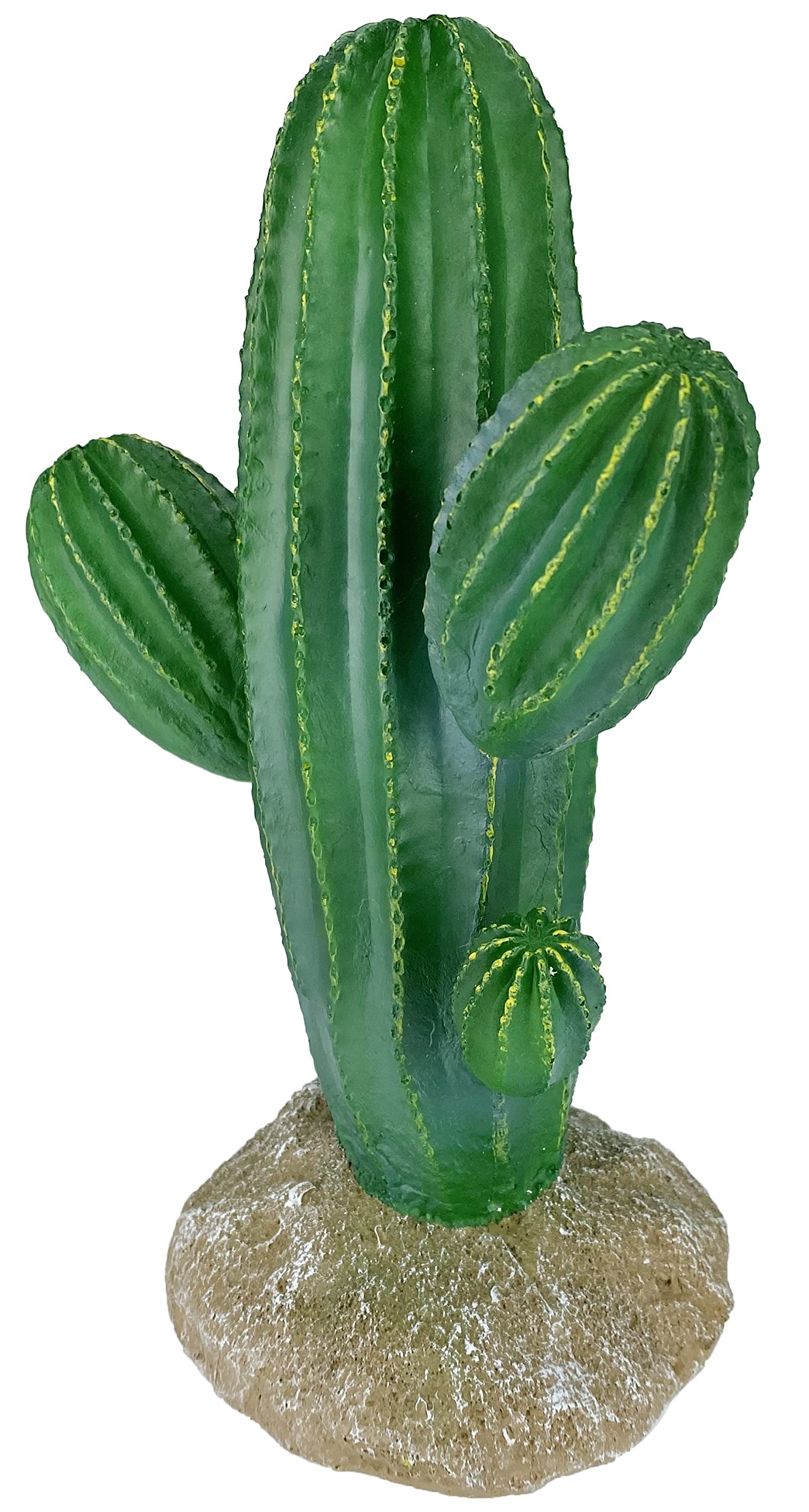 Komodo Saguaro Kaktus-Reptilien-Dekoration, natrlich aussehende knstliche  Pflanze, Terrarium, Ornament und Lebensraum-Dekoration, leicht zu reinigen  und zu pflegen, 24,1 cm hoch : Amazon.de: Haustier