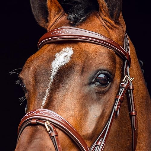 Miniatura 9 de HORZE Sion - Brida acolchada de piel para caballo, con banda nasal y riendas de goma, color negro