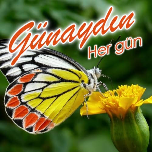 Good Morning Everyday Greetings in Turkish