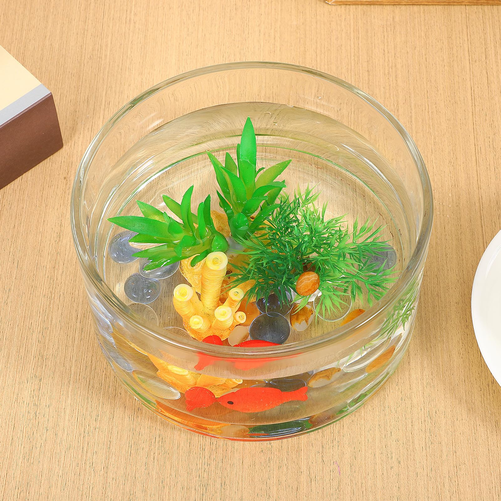 Ciieeo Terrario in Vetro Trasparente Rotondo per Fiori e Pesci Alta Trasparenza e Resistente, Vaso Decorativo per Casa e Festa dal Design Raffinato e Creativo
