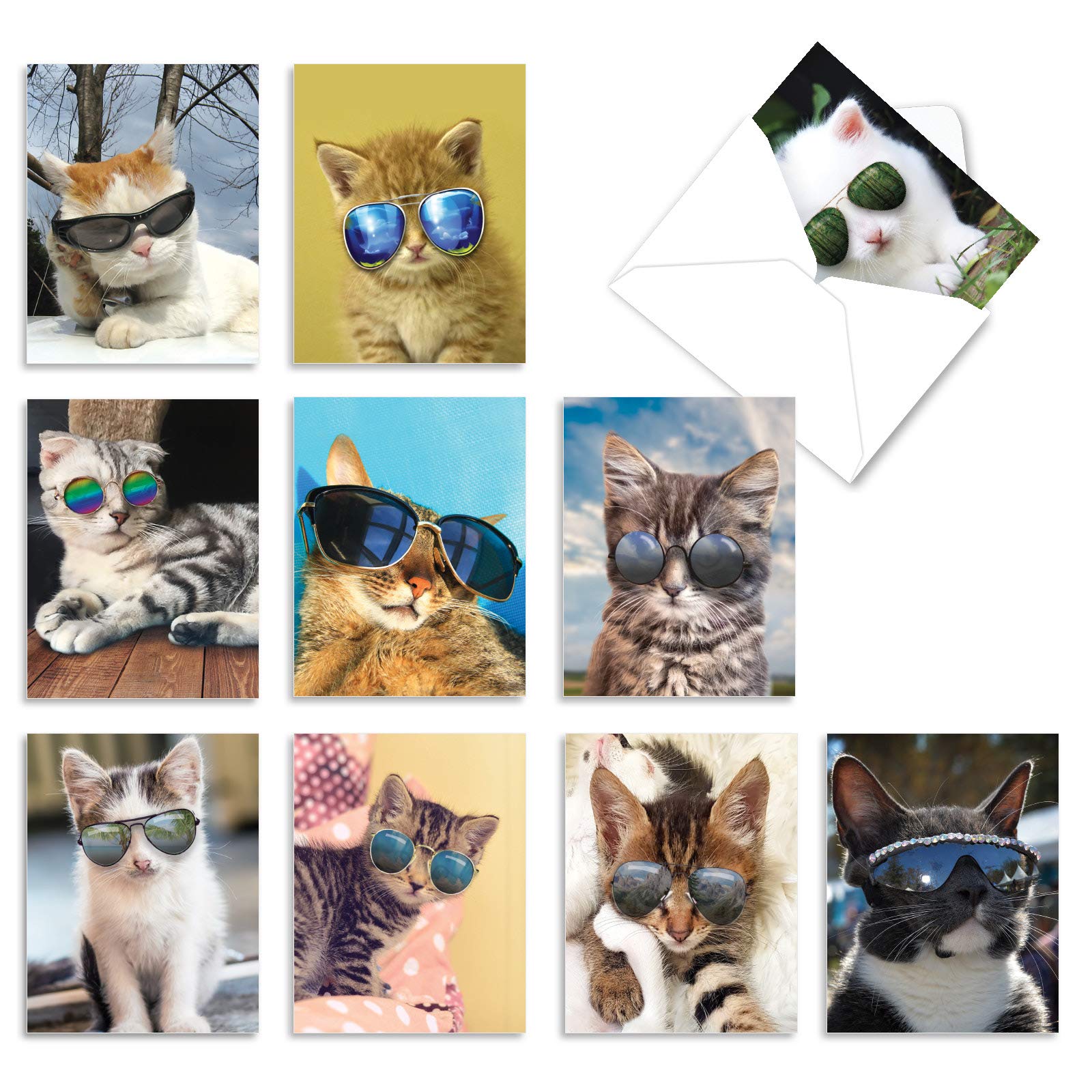 Are Cats Good Company For Dogs