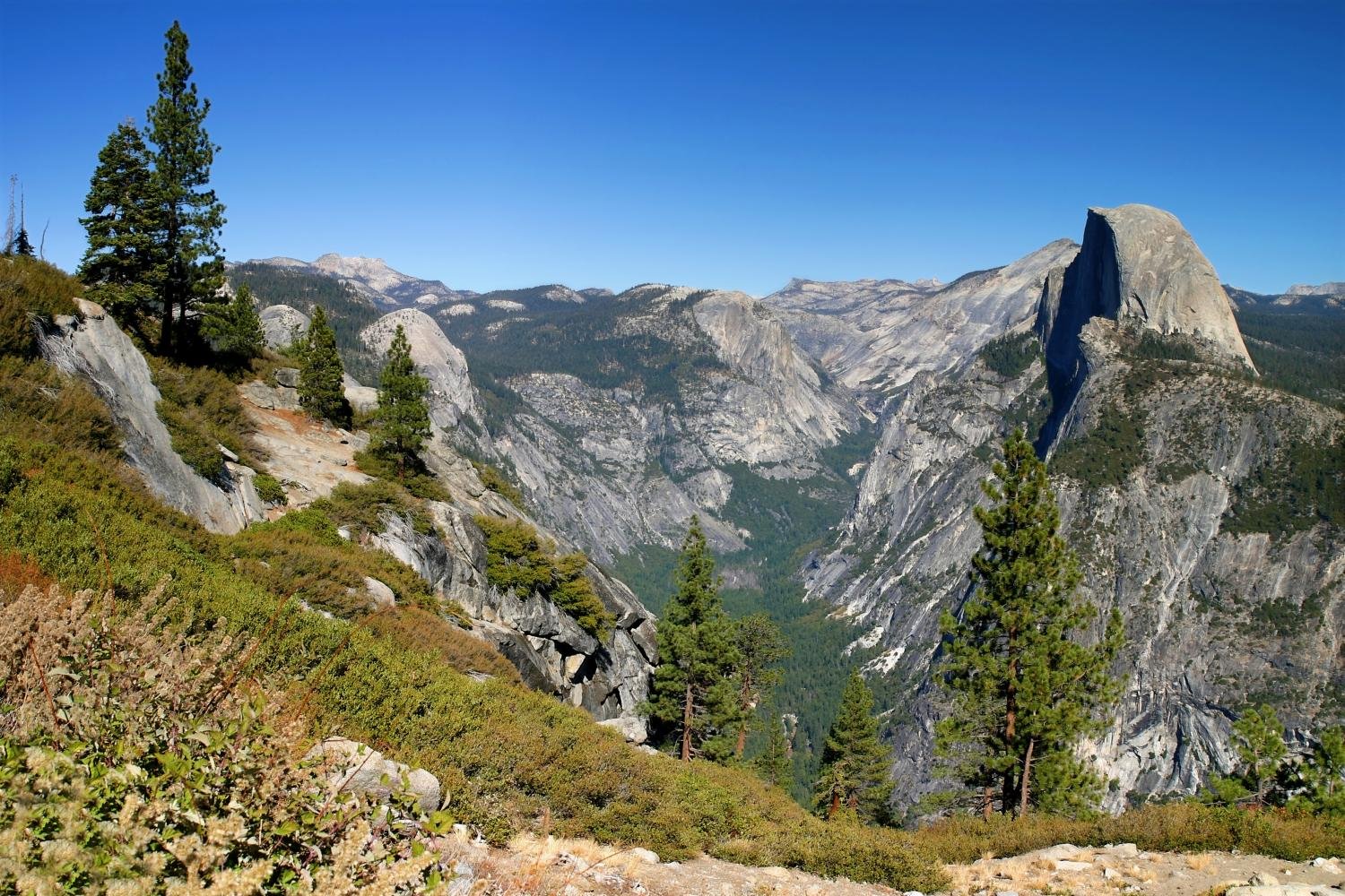 Amazon.com: Wallmonkeys Yosemite Half Dome Wall Decal Peel and