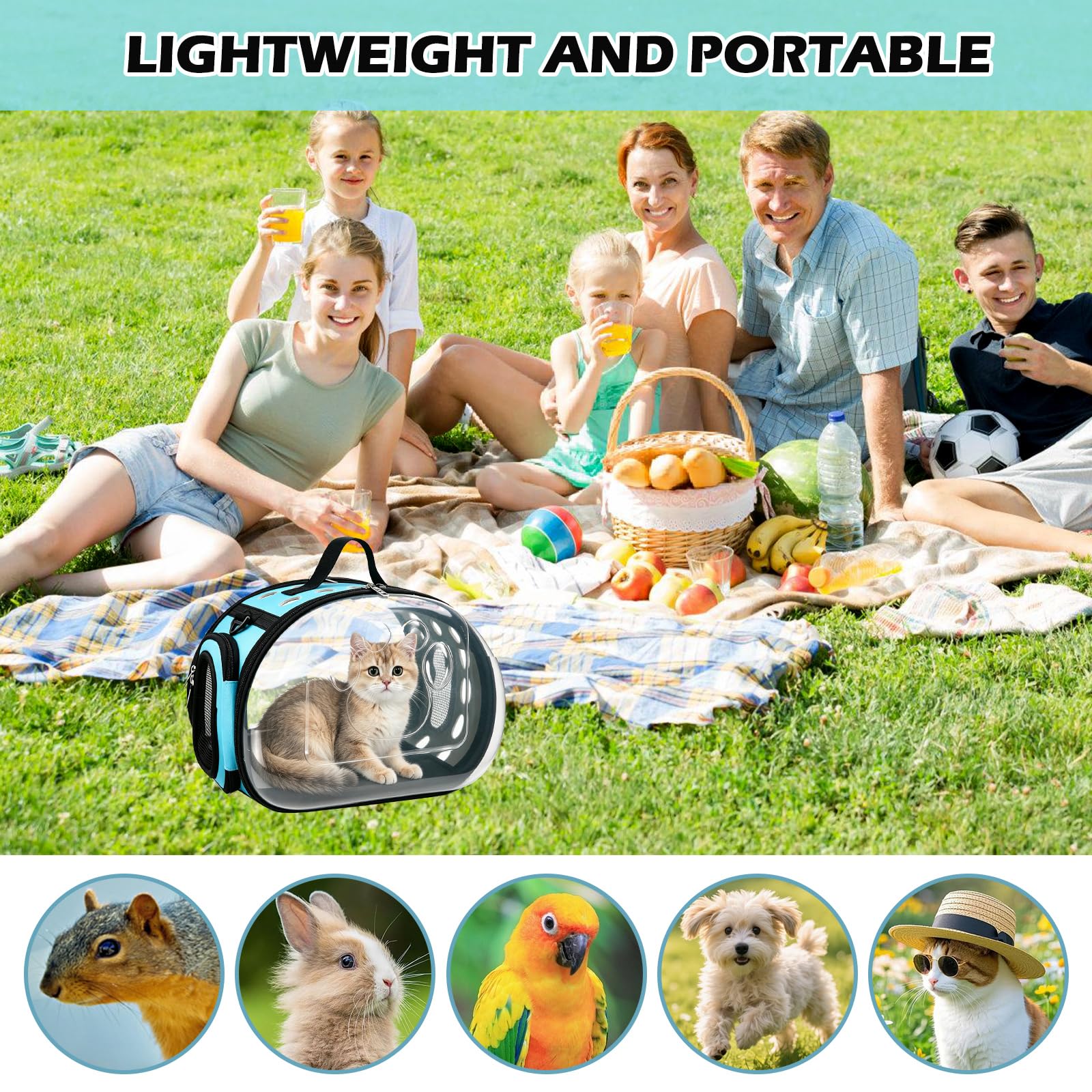 Sac de Transport pour Chat Transparent Pliable, Sac Transport Chat/Caisse de Transport Chat pour Chats et Petits Chiens Jusqu’à 5 kg, avec fenêtres et aérations, Port à la Main ou à l’épaule